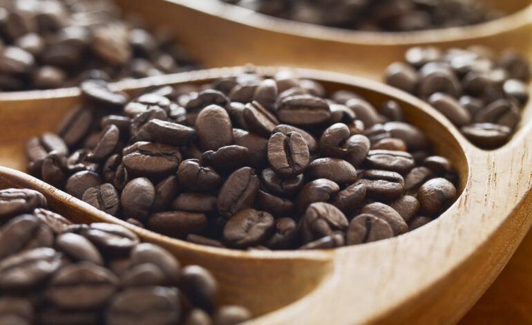  Choosing Coffee Beans: How and Why?