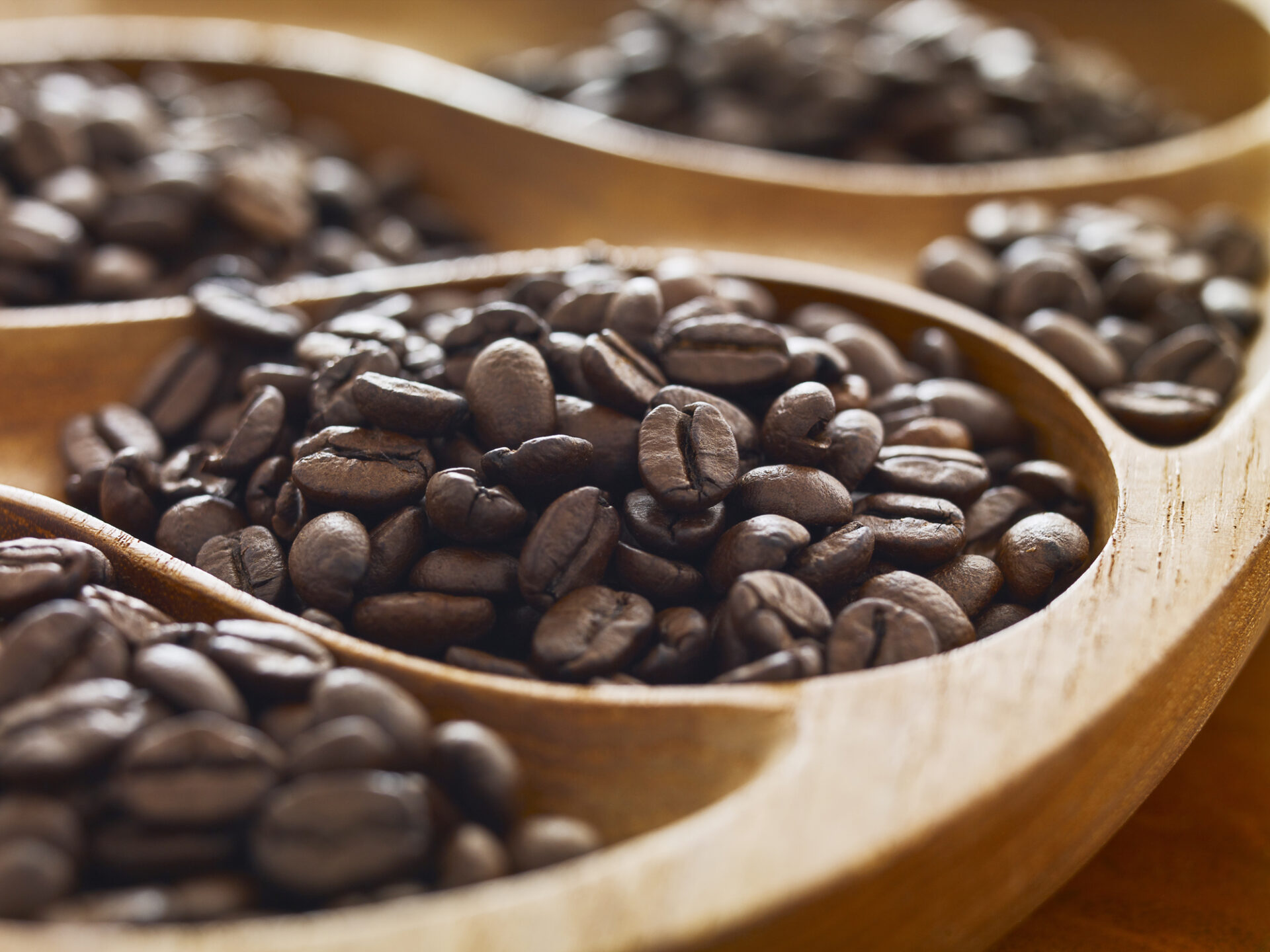 Choosing Coffee Beans: How and Why?