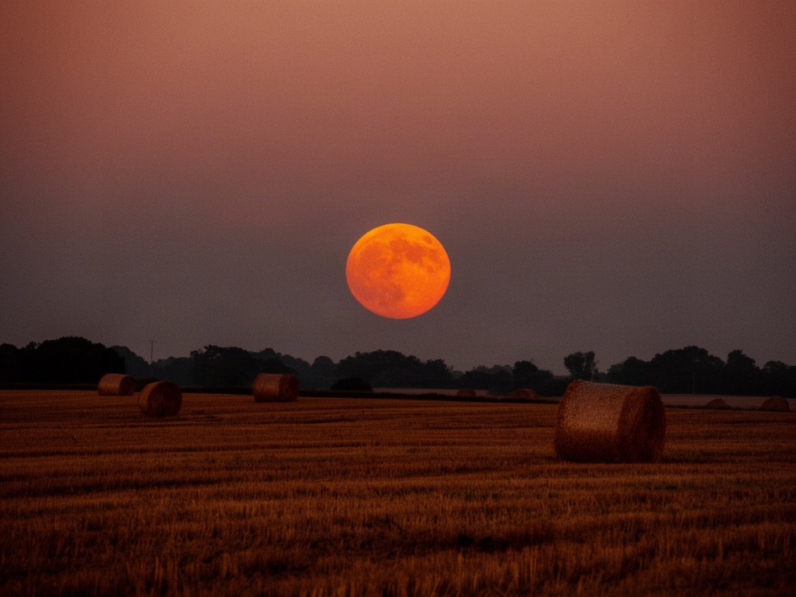 A low orange full moon over a harvested field dotted with hay bales at twilight