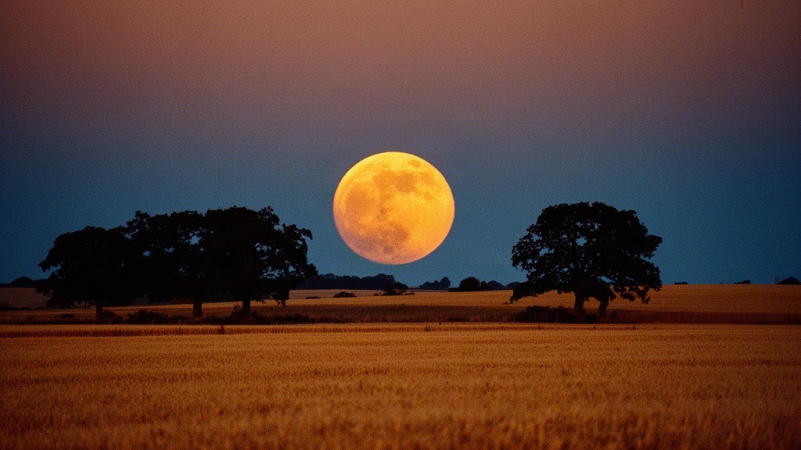 The Harvest Moon of 2026: A Full Moon in Aries